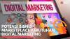 Potensi Bisnis Marketplace Kebutuhan Digital Marketing. (Sumber : IDXChannel)