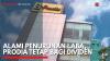 Alami Penurunan Laba, Prodia Tetap bagi Dividen. (Sumber : IDXChannel)