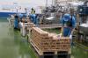 Kinerja Industri Pengolahan Meningkat, PMI-BI Capai 50,75 Persen di Triwulan I 2023. (Foto: MNC Media)