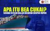 Apa Itu Bea Cukai? Sebuah Istilah dalam Kegiatan Ekspor-Impor