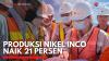 Produksi Nikel INCO Naik 21 Persen,(Sumber: IDX CHANNEL)