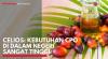 Celios: Kebutuhan CPO di Dalam Negeri Sangat Tinggi. (Sumber : IDXChannel)