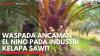 Waspada Ancaman El Nino pada Industri Kelapa Sawit. (Sumber : IDXChannel)
