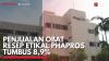 Penjualan Obat Resep Etikal Phapros Tumbus 8,9% . (Sumber : IDXChannel)