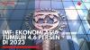IMF: Ekonomi Asia Tumbuh 4,6 Persen di 2023,(Sumber: IDX CHANNEL)