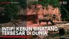 Intip! Kebun Binatang Terbesar di Dunia. (Sumber : IDXChannel)