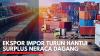 Ekspor Impor Turun Hantui Surplus Neraca Dagang. (Sumber : IDXChannel)