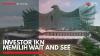 Investor IKN Memilih Wait and See,(Sumber: IDX CHANNEL)