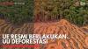 UE Resmi Berlakukan UU Deforestasi. (Sumber : IDXChannel)