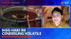 IHSG Hari ini Cenderung Volatile,(sumber: IDX CHANNEL)