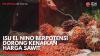 Isu El Nino Berpotensi Dorong Kenaikan Harga Sawit. (Sumber : IDXChannel)