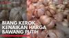 Biang Kerok Kenaikan Harga Bawang Putih. (Sumber : IDXChannel)