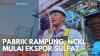 Pabrik Rampung, NCKL Mulai Ekspor Sulfat. (Sumber : IDXChannel)