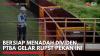 Bersiap Menadah Dividen, PTBA Gelar RUPST Pekan Ini,(Sumber: IDX CHANNEL)