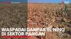 Waspadai Dampak El Nino di Sektor Pangan. (Sumber : IDXChannel)