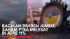 Bagikan Dividen Jumbo, Saham PTBA Melesat di Atas 11%,(Sumber: IDX CHANNEL)