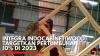 Integra Indocabinet (WOOD) Targetkan Pertumbuhan 10% di 2023,(Sumber: IDX CHANNEL)