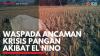 Waspada Ancaman Krisis Pangan Akibat El Nino. (Sumber : IDXChannel)