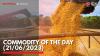 Commodity of the Day (21/06/2023). (Sumber : IDXChannel)