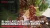 RI-Malaysia Terus Melawan Diskriminasi Sawit Eropa. (Sumber : IDXChannel)