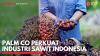 Palm Co Perkuat Industri Sawit Indonesia. (Sumber : IDXChannel)