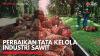 Perbaikan Tata Kelola Industri Sawit,(Sumber: IDX CHANNEL)