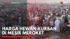 Harga Hewan Kurban di Mesir Meroket,(Sumber: IDX CHANNEL)