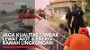 Jaga Kualitas Tambak Lewat AIoT & Energi Ramah Lingkungan,(Sumber: IDX CHANNEL)