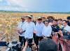 Ditanya Potensi Kerja Sama Hilirisasi Dengan Papua Nugini, Begini Jawaban Jokowi (foto: MNC Media)