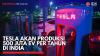 Tesla akan Produksi 500 Juta EV per Tahun di India,(Sumber: IDX CHANNEL)