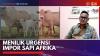 Menilik Urgensi Impor Sapi Afrika,(Sumber: IDX CHANNEL)