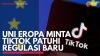 Uni Eropa Minta Tiktok Patuhi Regulasi Baru. (Sumber : IDXChannel)