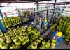 Bos Pertamina Sebut Ketersediaan LPG 3 Kg Dipastikan Aman (FOTO:Dok Pertamina)