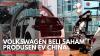 Volkswagen Beli Saham Produsen EV China,(Sumber: IDX CHANNEL)