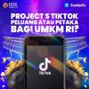 Project S TikTok, Peluang atau Petaka Bagi UMKM RI?