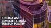 Kinerja ASII Semester I-2023 Tumbuh Positif,(Sumber: IDX CHANNEL)