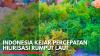 Indonesia Kejar Percepatan Hilirisasi Rumput Laut,(Sumber: IDX CHANNEL)