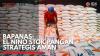 Bapanas: El Nino Stok Pangan Strategis Aman,(Sumber: IDX CHANNEL)