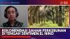 Rekomendasi Saham Perkebunan di Tengah Sentimen El Nino,(Sumber: IDX CHANNEL)