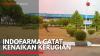 Indofarma Catat Kenaikan Kerugian,(Sumber: IDX CHANNEL)