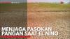 Menjaga Pasokan Pangan Saat El Nino. (Sumber : IDXChannel)