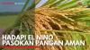 Hadapi El Nino Pasokan Pangan Aman. (Sumber : IDXChannel)