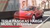 Tesla Pangkas Harga Model Y di China. (Sumber : IDXChannel)
