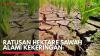 Ratusan Hektare Sawah Alami Kekeringan,(Sumber: IDX CHANNEL)