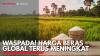 Waspada! Harga Beras Global Terus Meningkat. (Sumber : IDXChannel)