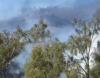 Bukit Teletubbies Gunung Bromo Terbakar, Pengelola Pastikan Tak Berpengaruh ke Aktivitas Wisata  (FOTO:Dok Ist)