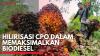 Hilirisasi CPO Dalam Memaksimalkan Biodiesel. (Sumber : IDXChannel)