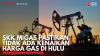 SKK Migas Pastikan Tidak ada Kenaikan Harga Gas di Hulu. (Sumber : IDXChannel)