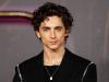 Harta Kekayaan Timothee Chalamet: Diperkirakan Rp383 Miliar, Digaji USD9 Juta dari ‘Wonka’ (Foto: IMdb)