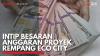 Intip Besaran Anggaran Proyek Rempang Eco City. (Sumber : IDXChannel)